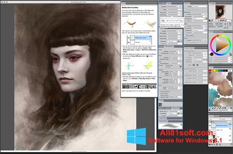 Posnetek zaslona Corel Painter Windows 8.1