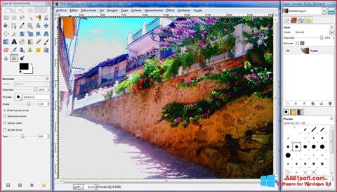 Posnetek zaslona GIMP Windows 8.1