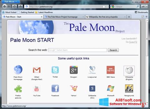 Posnetek zaslona Pale Moon Windows 8.1
