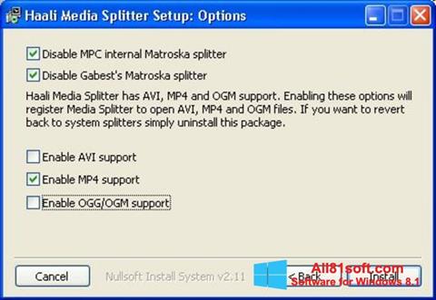 Posnetek zaslona Haali Media Splitter Windows 8.1