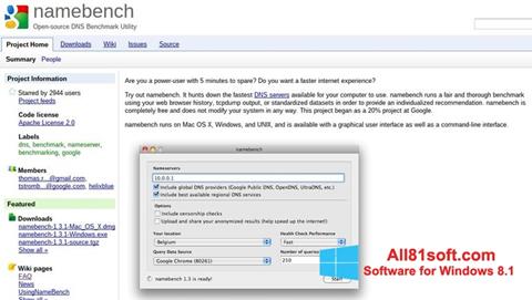 Posnetek zaslona NameBench Windows 8.1