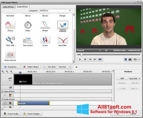 Posnetek zaslona AVS Video Converter Windows 8.1