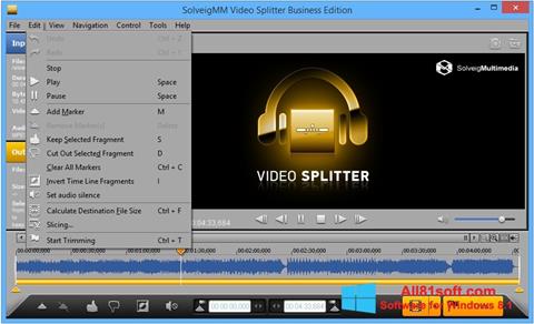 Posnetek zaslona SolveigMM Video Splitter Windows 8.1