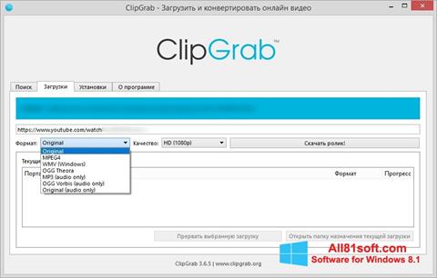 Posnetek zaslona ClipGrab Windows 8.1