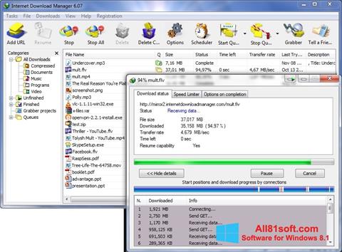 Posnetek zaslona Internet Download Manager Windows 8.1