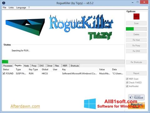 Posnetek zaslona RogueKiller Windows 8.1