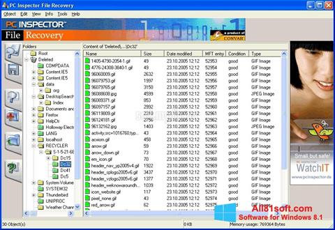 Posnetek zaslona PC Inspector File Recovery Windows 8.1