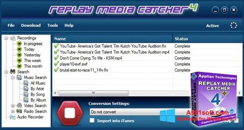 Posnetek zaslona Replay Media Catcher Windows 8.1