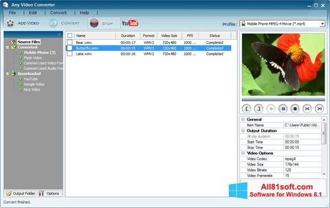 Posnetek zaslona Any Video Converter Windows 8.1