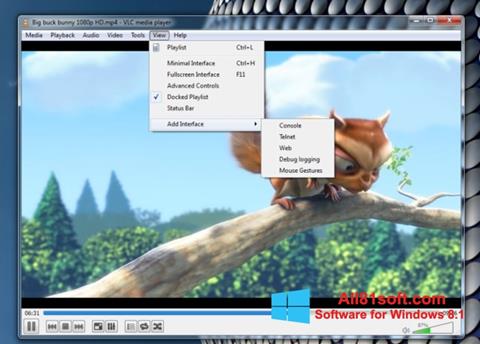 Posnetek zaslona VLC Media Player Windows 8.1