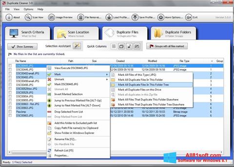 Posnetek zaslona Duplicate Cleaner Windows 8.1