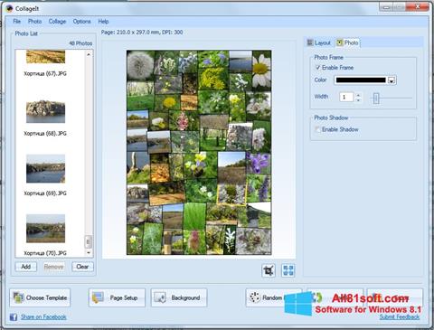 Posnetek zaslona CollageIt Windows 8.1