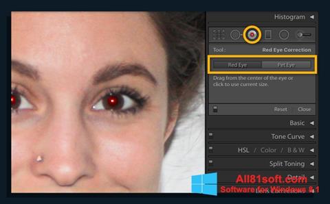 Posnetek zaslona Red Eye Remover Windows 8.1