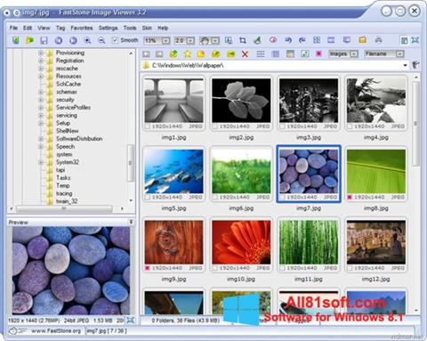 Posnetek zaslona FastStone Image Viewer Windows 8.1
