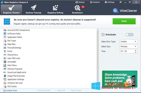 Posnetek zaslona Wise Registry Cleaner Windows 8.1